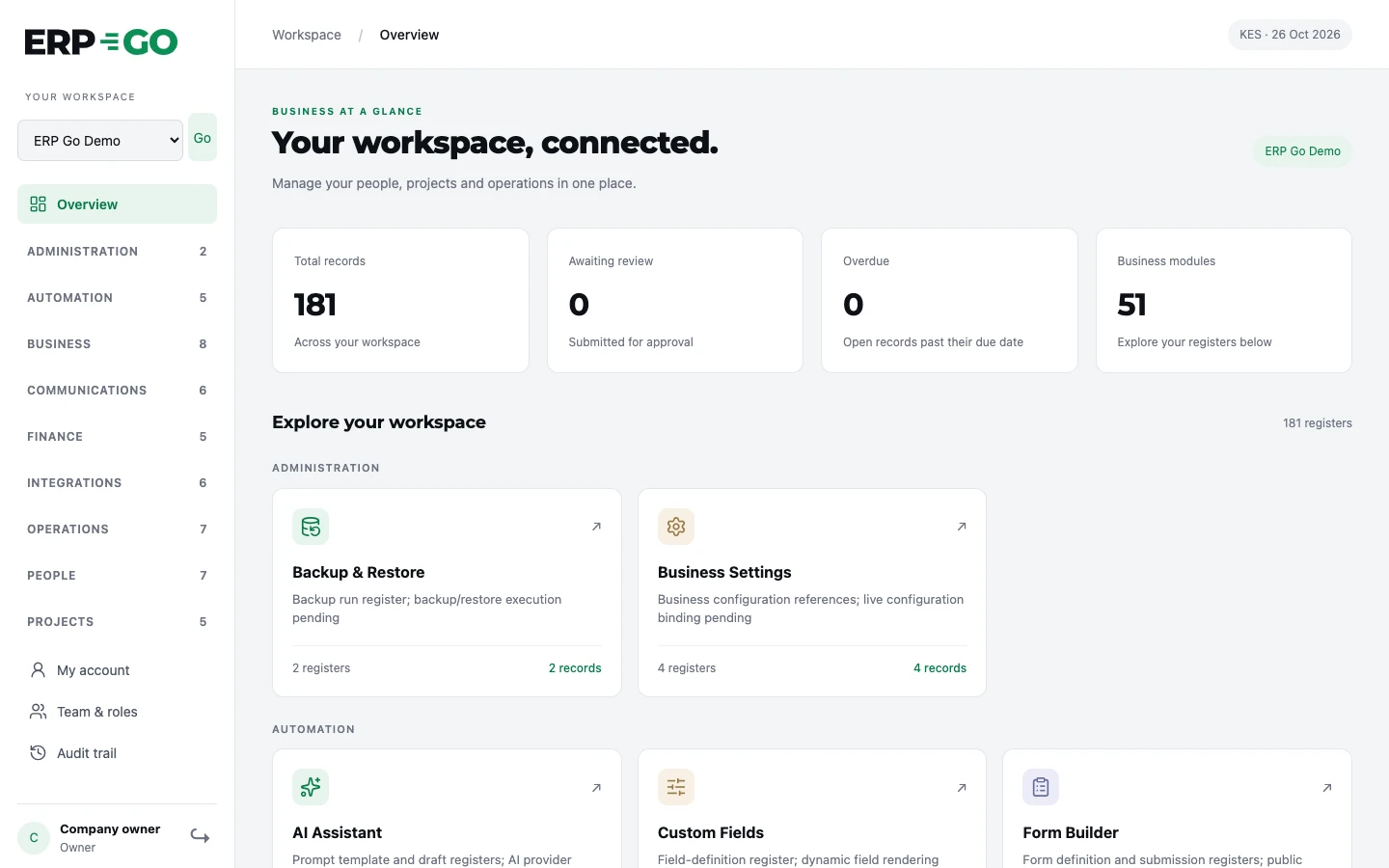 ERP Go workspace overview: record totals and every module, grouped by business area.